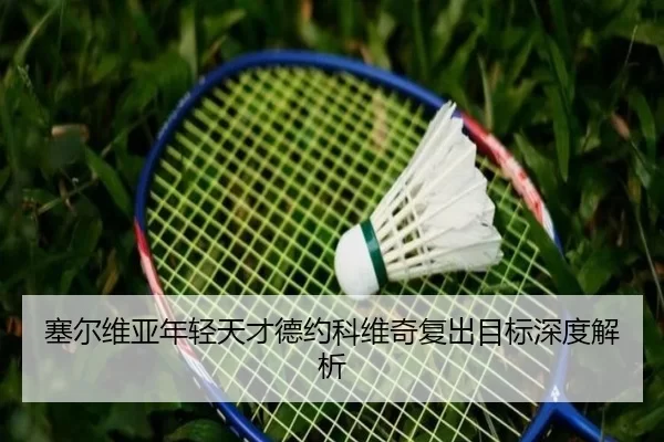 塞尔维亚年轻天才德约科维奇复出目标深度解析