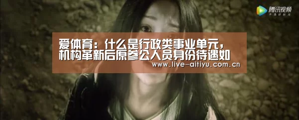 爱体育:什么是行政类事业单元,机构革新后原参公人员身份待遇如那边置(图2) 爱体育