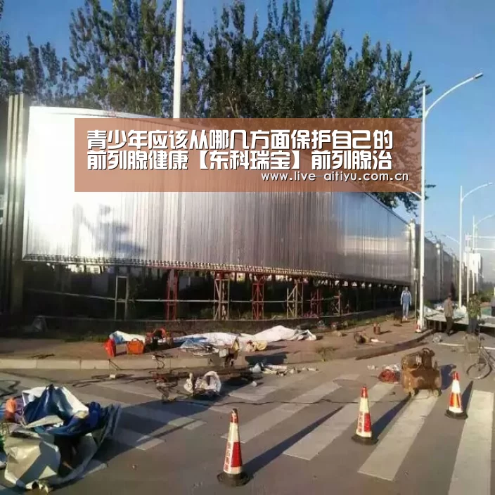 青少年应该从哪几方面保护自己的前列腺健康【东科瑞宝】前列腺治疗仪:爱体育(图1) 爱体育
