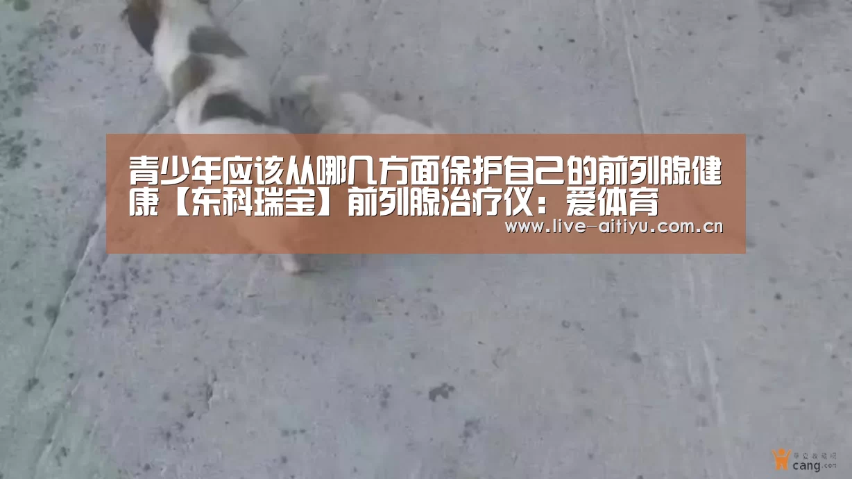 青少年应该从哪几方面保护自己的前列腺健康【东科瑞宝】前列腺治疗仪:爱体育(图2) 爱体育