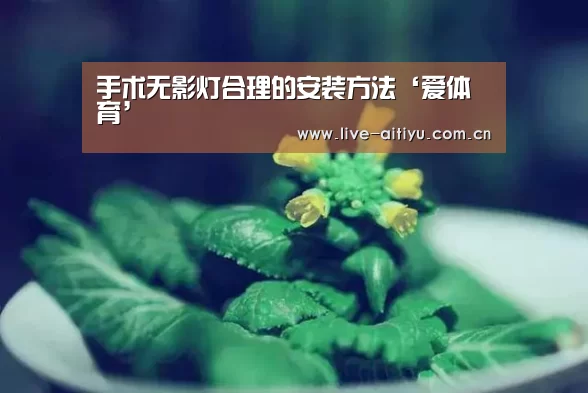 手术无影灯合理的安装方法‘爱体育’(图4) 爱体育